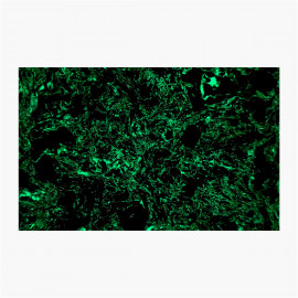 Fibre Carbone - Dark Matter Glow  - 100x150x4mm