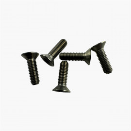 Screws Titanium Head Countersunk Torx Ø3x6mm (x10pcs)