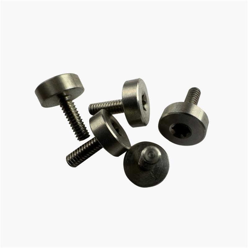 Vis Pivot Inox Torx Tête Plate Ø6 mm M2x6mm (x10pcs)