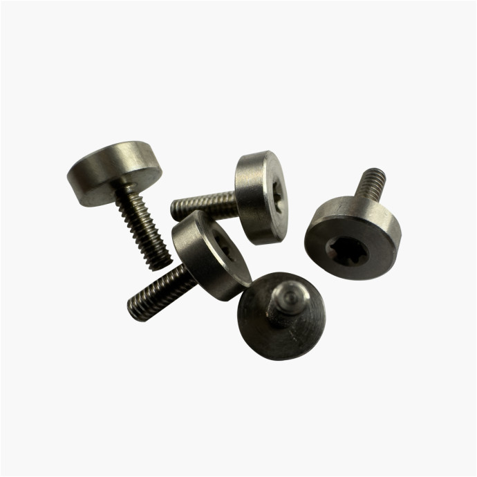 Vis Pivot Inox Torx Tête Plate Ø6 mm M2x6mm (x10pcs)