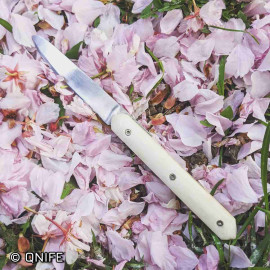 Edelstahl T7MO / 1.4109 / 440A